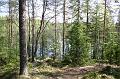 isojarven_kansallispuistossa_1