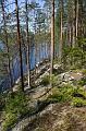 isojarven_kansallispuistossa_7