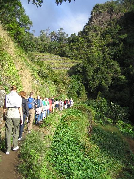 Levadan_varrelta_2008_05.jpg