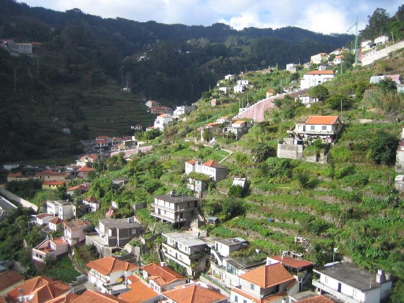 Levadan_varrelta_2008_06.jpg