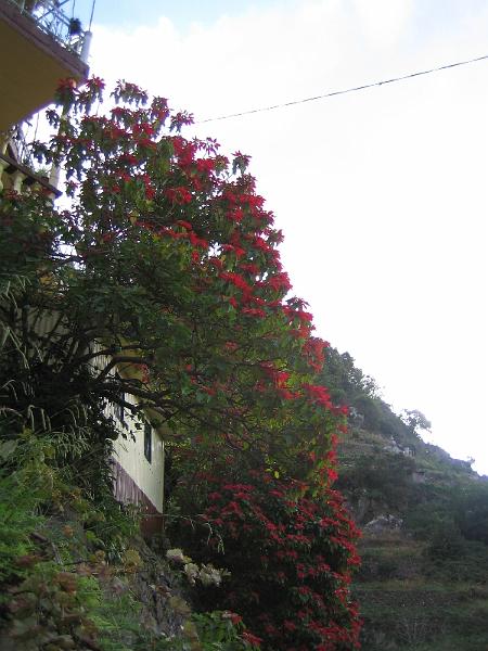 Levadan_varrelta_2008_07.jpg