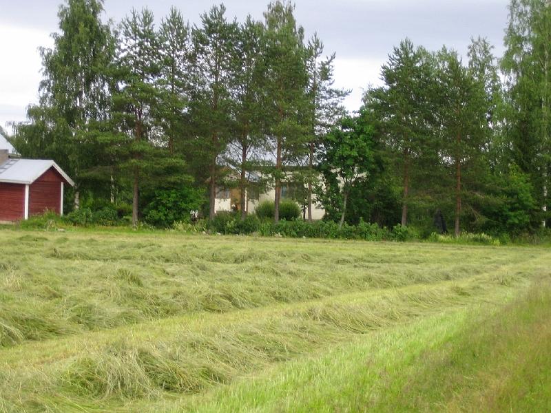 Tuopajoelta.jpg