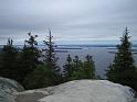 Koli